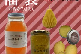 【福袋】非加熱非加温！国産純粋「巣入り蜂蜜」含む7点セット