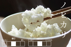 新米！【根強い人気！】特別栽培米ヒノヒカリ白米5kg【化学肥料不使用・農薬5割以上減】（佐賀県産）