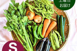 【採れたて】旬のおまかせ野菜セット(S/7-8品）