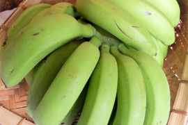 【限定予約販売】日本最後の秘境トカラ列島よりお届け 希少な国産バナナ（１kg）