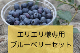 エリエリ様専用　ブルーベリーセット