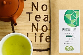 爽やかな色合いと旨味ある白川茶　品種茶つゆひかり　80g