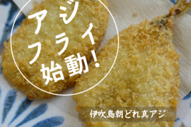 【💌ﾘｸｴｽﾄｾｯﾄ】伊吹島アジフライ！１６枚入＆釜揚げいりこフライ１ｋｇ&真鯛そぼろ煮１４０ｇ２袋