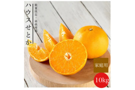 【柑橘の大トロ】果汁溢れる💓ハウスせとか家庭用10kg✨