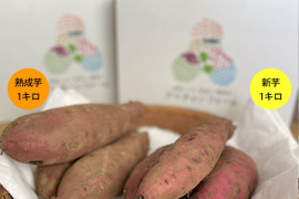 【栃木県産】熟成芋と新芋の食べ比べセット｜さつまいも2kg｜紅はるか