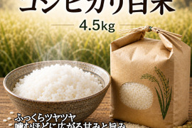 栽培期間中農薬不使用!! 京丹後産『コシヒカリ』白米4.5kg
