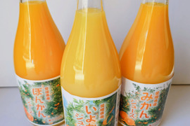 愛媛県産みかんジュース３種詰合わせ（6本）
