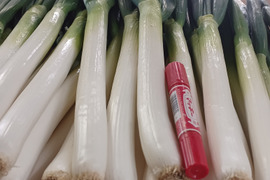 【福袋】🚨皮むき白ネギ極太2L／超極太3L混合、10kg🚨たっぷり60本❗❗霜が降り、甘味が増した【至福の極甘ネギ】✨信州産✨【特別栽培】✨【無消毒栽培】