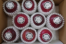 自然栽培！沖縄県南城市産パッションフルーツ1kg
