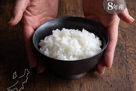 新潟県産コシヒカリ,和泉,20kg,令和7年新米,【受注後精米・農家直売