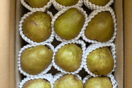 3kg★名和果樹園の訳あり自宅用中玉ラフランス★山形県産L260g以上★産地直送お取り寄せ通販