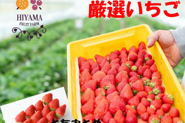 【食べ比べ】茨城県産いちご ２パック×１箱【いばらキッス・とちおとめ】