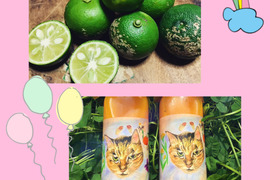 【農薬不使用】お得です！みかんストレートジュース付き！ねこ農園のスダチ500g