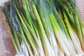 稀少な葉にんにく　300ｇ×2パック　北海道　上富良野産