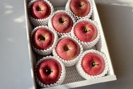 【12月6日まで】 🍎山形りんご🍎『サンふじ』３キロ【冬ギフト】７〜１０玉入り