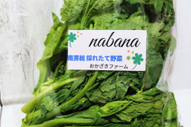 シェアでいかがでしょう！ベビー菜花のおまけ付き♥採れたて南房総から【菜花1,2㎏】小分け8袋