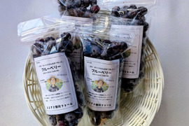 信州・奈川産！『冷凍ブルーベリー』600ｇ