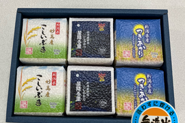 令和7年産　新潟県産　真空パック米３００ｇ×６個セット　無洗米
