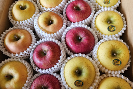 【食べ比べ】青森県産3品種詰合せりんご約5㎏（キャップ14～20個）