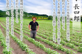 令和7年8月下旬発送❗本場白山産　だだちゃ豆(白山)1㎏