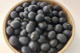 煮豆でふっくら　黒豆（丹波黒大粒大豆）　手選別　1㎏