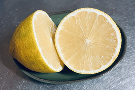 [自然栽培]レモン2種食べ比べセット(2kgずつ4kg)りのか、リスボン 農薬不使用