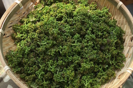 【予約商品】気品ある香り！花山椒25g  （美山産 栽培期間中農薬不使用）