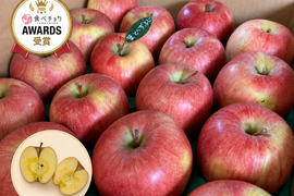 (2026年産予約)🍎約１０キロ🍎レビュー数1900件突破！！葉とらずふじ【家庭用】２６玉～４３玉 青森りんご リンゴ 商品ID197581 大容量　訳あり
