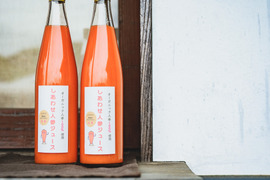 有機人参100％ジュース1本　リンゴが入った人参ミックスジュース1本の詰め合わせ　（　飲み比べて楽しい2種類セット　）