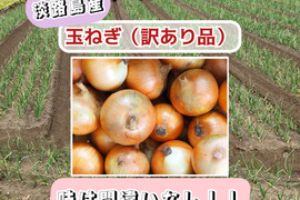 【訳あり玉ねぎ】不揃いだけど味は一級品！淡路島が誇る濃厚な旨味をご家庭で　５kg（サイズ混合）