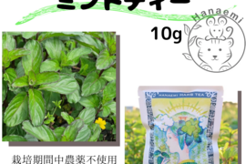三輪山の麓育ちのミントティー　10g