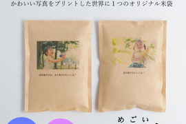【かわいいお米の成長報告ギフト -megoi-】南魚沼産コシヒカリ2合（300ｇ）×2袋