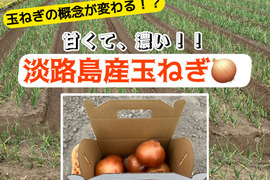 【淡路島直送】「完熟玉ねぎ『ターザン』甘みとコクが凝縮した島の恵み」3kg（サイズ混合）
