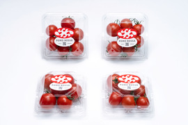 濃厚な甘さ感じるフルーツトマト『ポモロッサ４パック入』