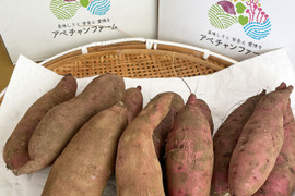 【栃木県産】熟成さつまいも　4kg　紅はるか