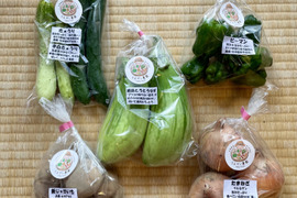 濃甘！野菜セット5種類 農薬・化学肥料不使用♪個包装