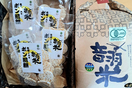 【令和6年産】愛知県産音羽米　有機ＪＡＳ玄米5㎏ 　玄米ポン煎餅5個セット