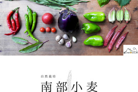 【自然栽培】旬の野菜セット+南部小麦粉（800g）