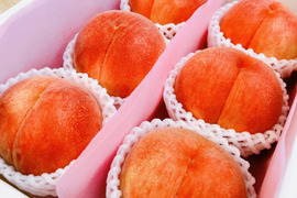 【硬くて甘い！】【おどろき】【贈答品】白桃　約3㎏　約5〜7玉　大玉　専用化粧箱入り！