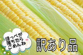 ゴールドラッシュ！15本前後
