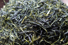 お茶・茶葉　農薬・肥料不使用　緑茶（2023） 玉露　ごこう 加茂自然農園のお茶