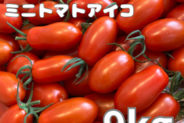 ミニトマトアイコ9kg