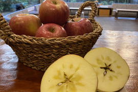 【長野県産】【数量限定】
蜜たっぷり！一度食べたら病みつき！
【秀品】【糖度16度以上】
サンふじ　贈答用　3kg