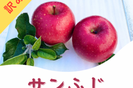 【訳あり】サンふじ　約5kg(送料別)