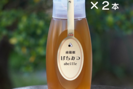 蜂蜜　２０２５年採蜜したて！南箱根の非加熱はちみつプラボトルタイプ500g２本セット