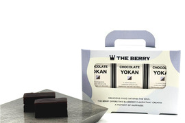 濃厚チョコ×ブルーベリー羊羹（ようかん）｜3個入り