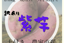 訳あり　紫芋　詰め合わせ　約2.5kg