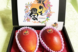 クール便発送　マンゴー4KG 沖縄産 マンゴー 箱込み4キロ クール便込み - メルカリ