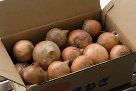 《自然栽培・食品ロス》淡路島産 人に優しい玉ねぎ「十玉十色」３ kg 【2020年最優秀賞受賞／2022年SDG'sエバンジェリスト認定取得】