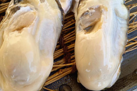 三陸直送！生でツルッと！牡蠣剥き身500g生食用2パック入り(3名様～5名様用)
